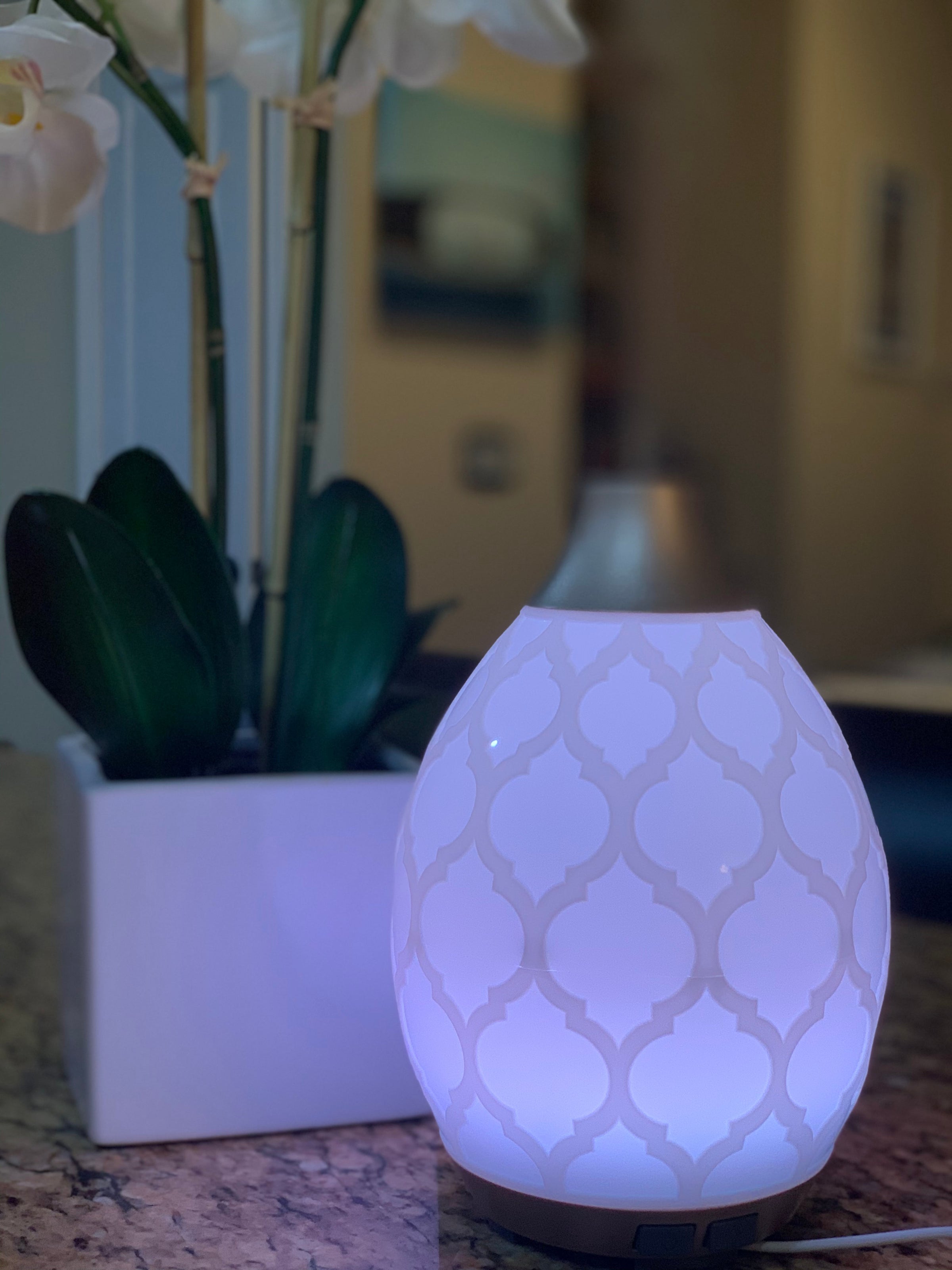 Desert Mist Diffuser | Nettie's Natural Body Desert Mist Diffuser | Nettie's Natural Body