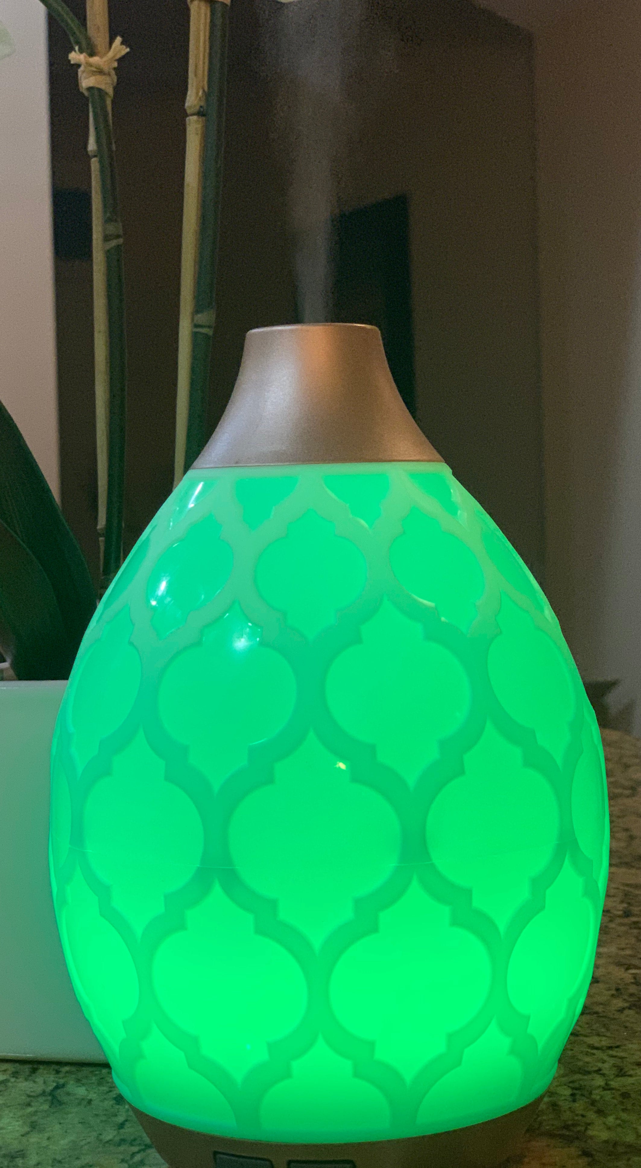 2024 Young Living Desert Mist Diffuser